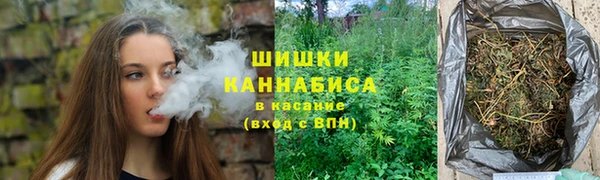 дмт Нягань