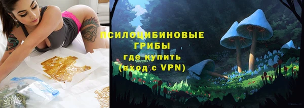 прущая мука Няндома