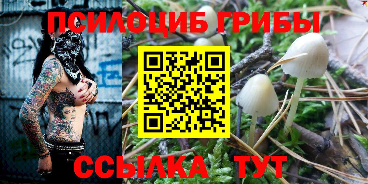 Галлюциногенные грибы ЛСД  продажа наркотиков  Псилоцибиновые грибы ЛСД  Асбест  Вход с VPN 